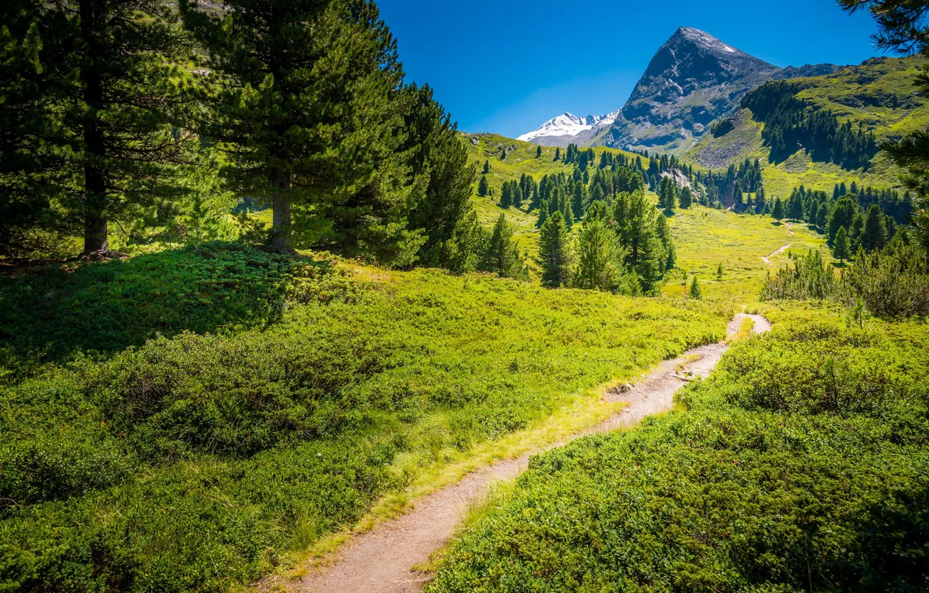 Photo wallpaper summer, the sky, trees, mountains, nature, Austria, path, Tyrol