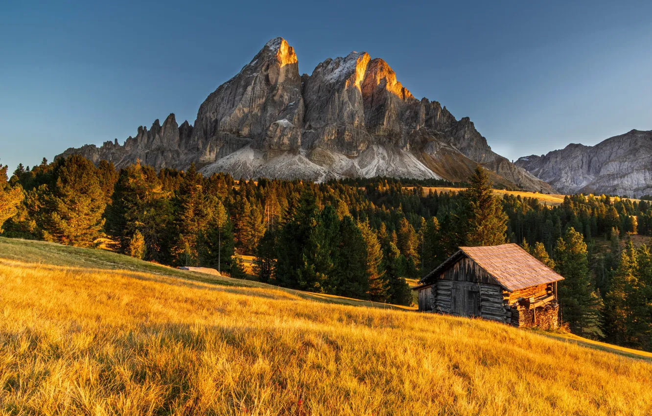 Photo wallpaper autumn, forest, grass, light, mountains, blue, rocks, tops