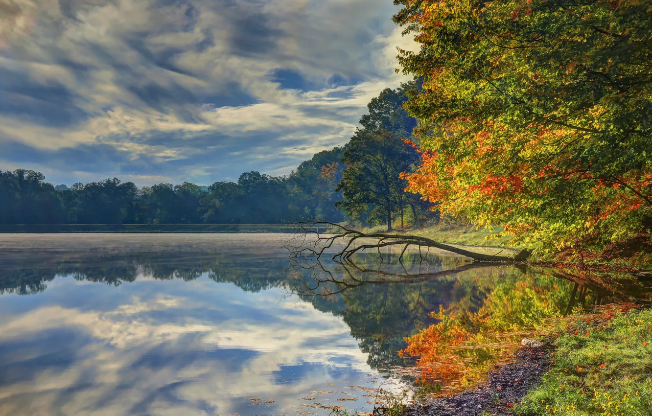Photo wallpaper autumn, forest, the sky, leaves, water, clouds, trees, mountains