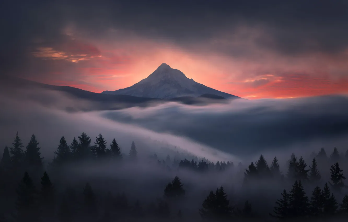 Photo wallpaper forest, the sky, mountains, nature, fog, dawn, morning, Oregon