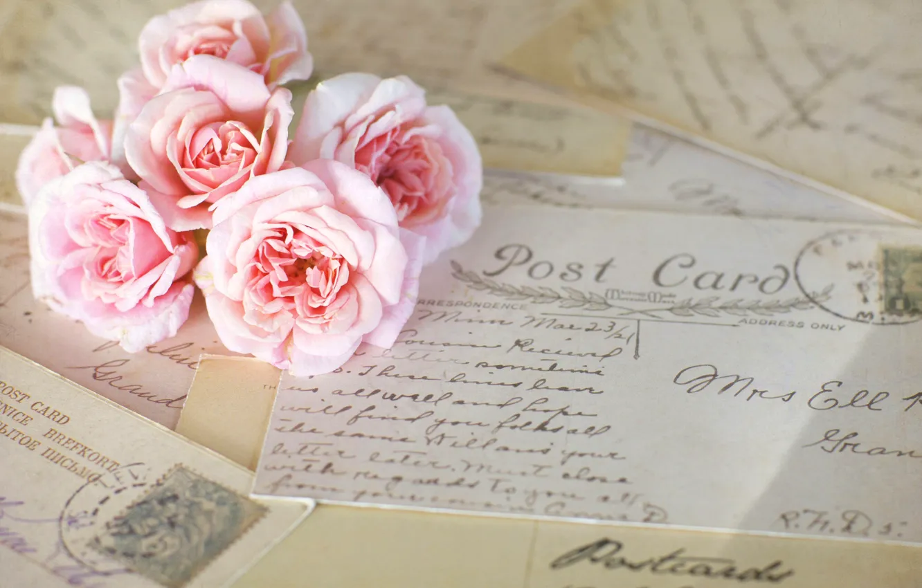 Photo wallpaper flowers, roses, pink, vintage, letters, cards