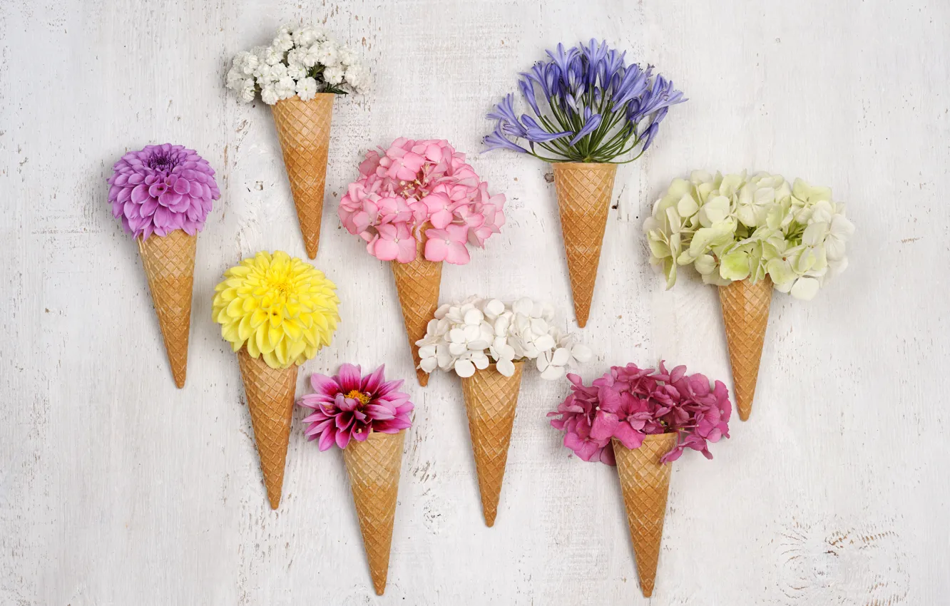 Photo wallpaper flowers, horn, composition, cone, waffle