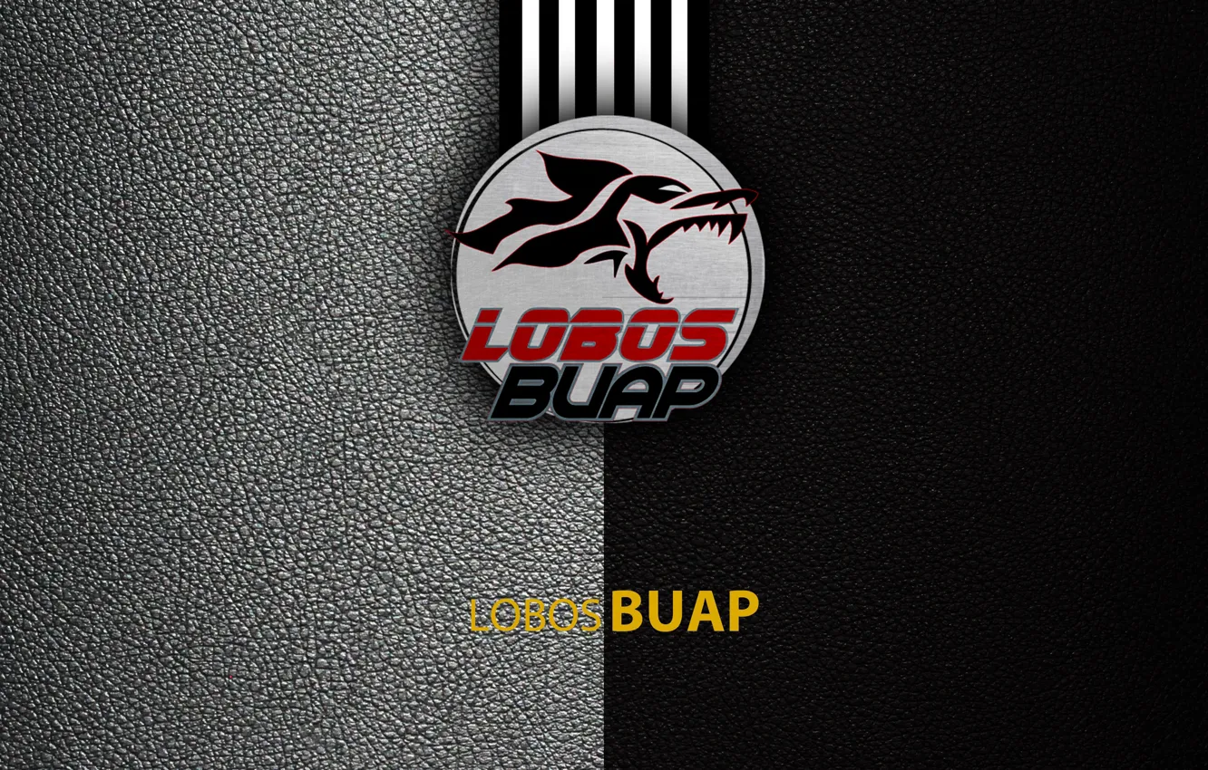 Photo wallpaper wallpaper, sport, logo, football, Lobos BUAP