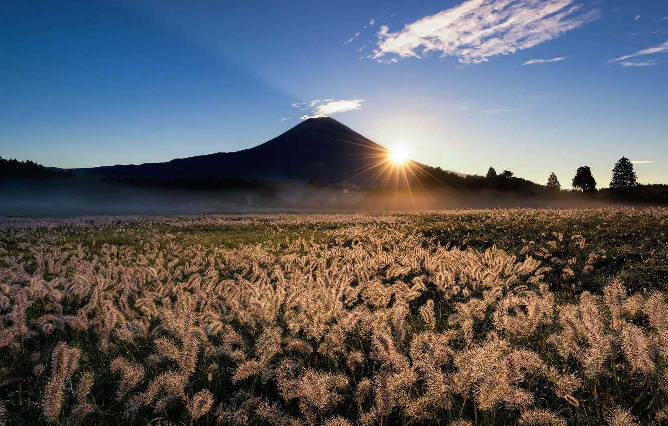 Photo wallpaper field, the sky, grass, the sun, rays, nature, mountain, the volcano
