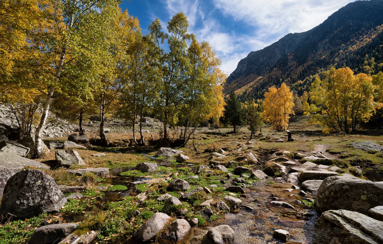 Photo wallpaper Mountains, Autumn, Trees, Stones, Andorra