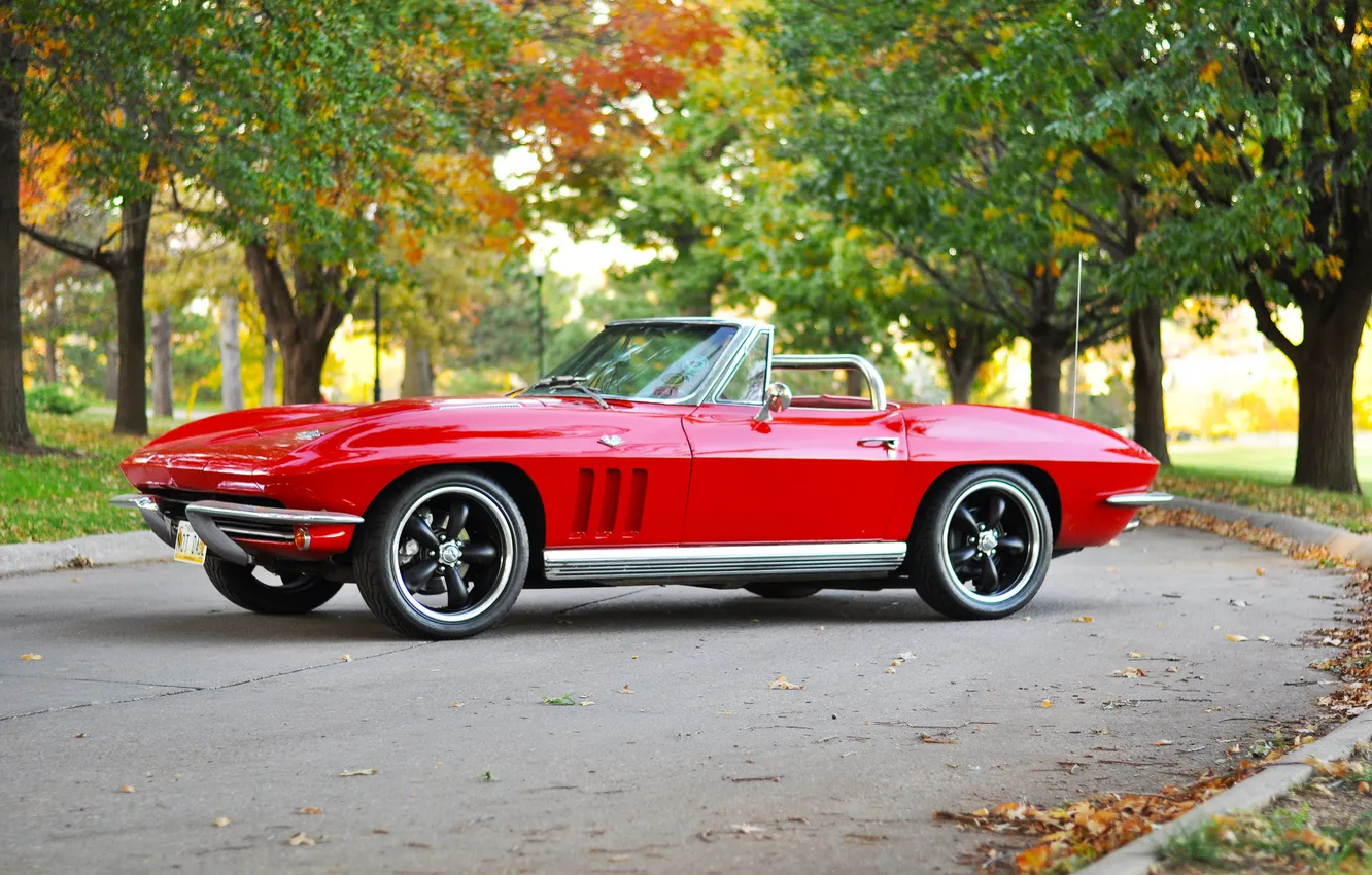 Photo wallpaper red, retro, 1969, red, corvette, convertible, classic, chevrolet