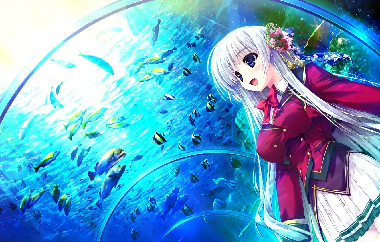 Photo wallpaper water, girl, fish, form, game cg, prism recollection, shintaro, aquarium