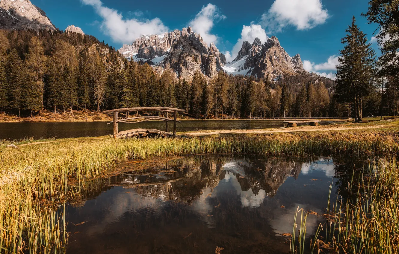 Photo wallpaper forest, trees, mountains, lake, reflection, Italy, the bridge, The Dolomites