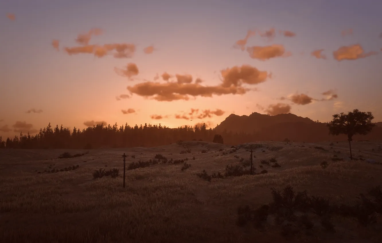 Photo wallpaper HDR, game, trees, field, landscape, clouds, sunlight, UHD