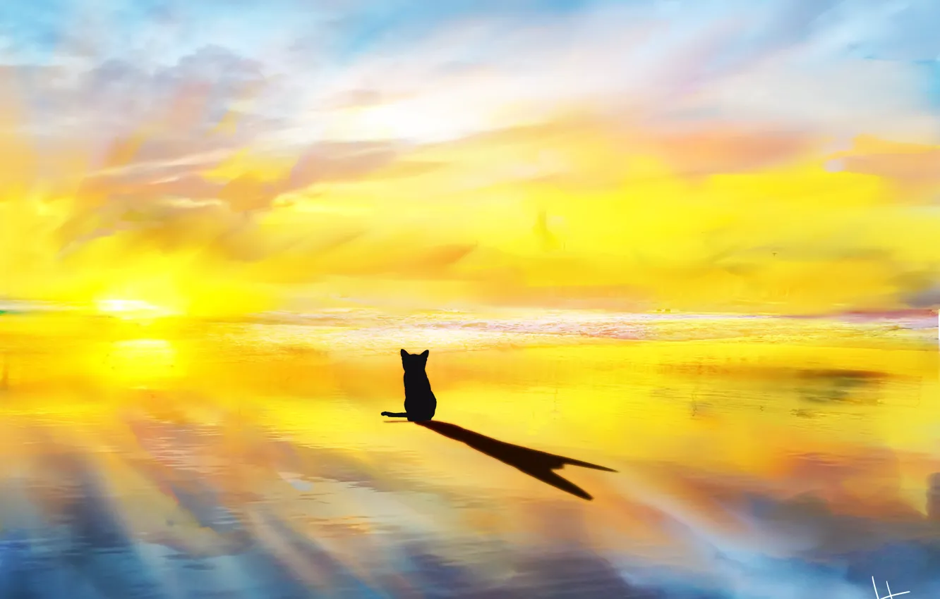Photo wallpaper sea, cat, the sun's rays