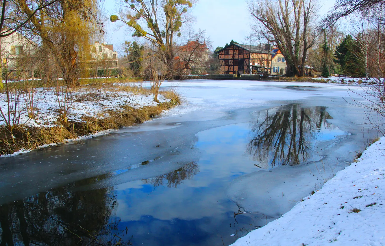 Photo wallpaper ice, trees, water, park, winter, pond