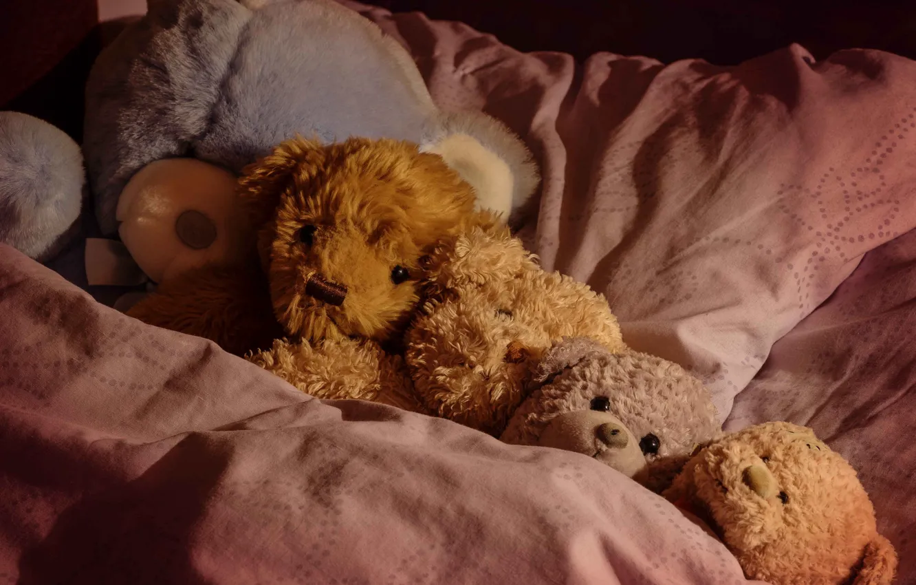 Photo wallpaper toys, sleep, the situation, bears, bed, Teddy bears