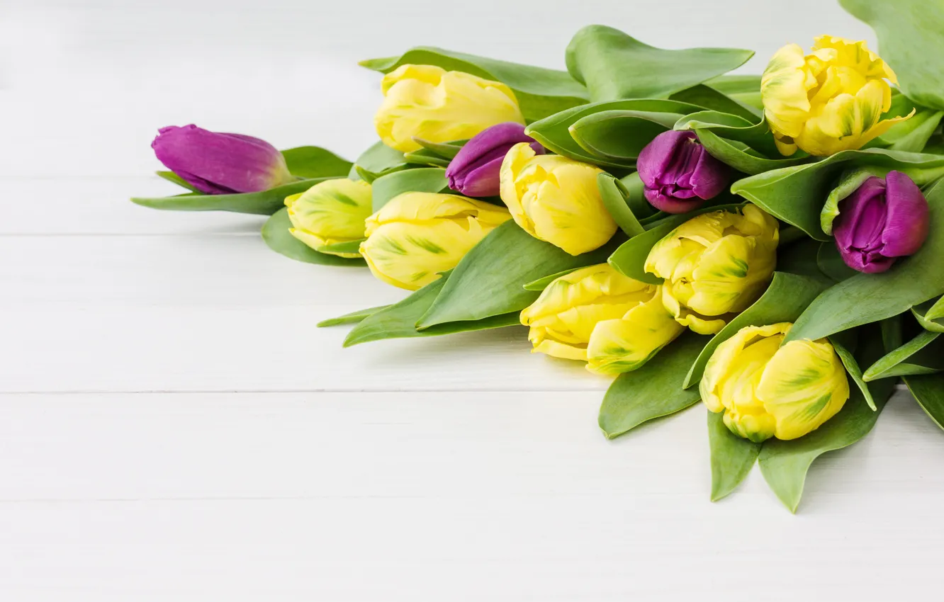Photo wallpaper bouquet, spring, tulips