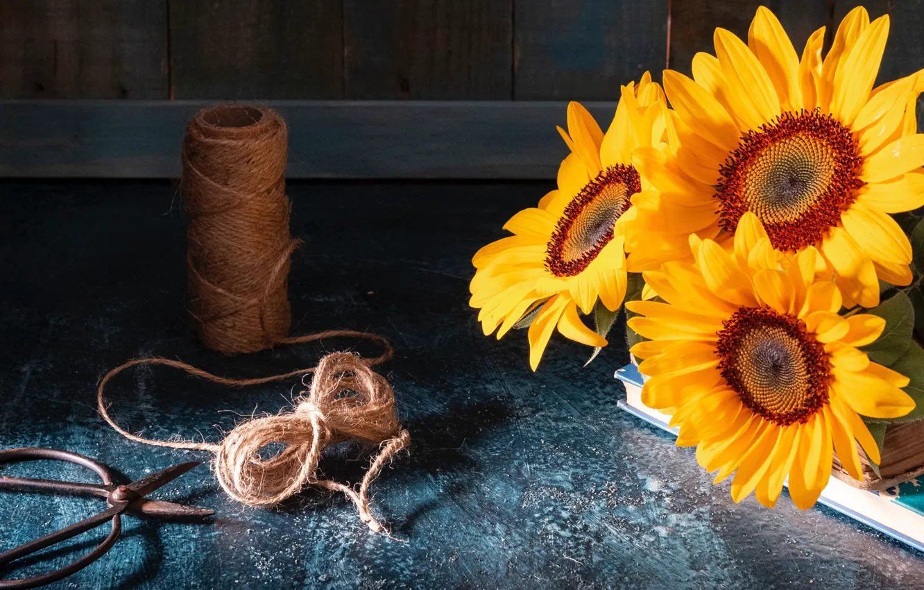 Photo wallpaper light, sunflowers, flowers, the dark background, table, Board, books, bouquet