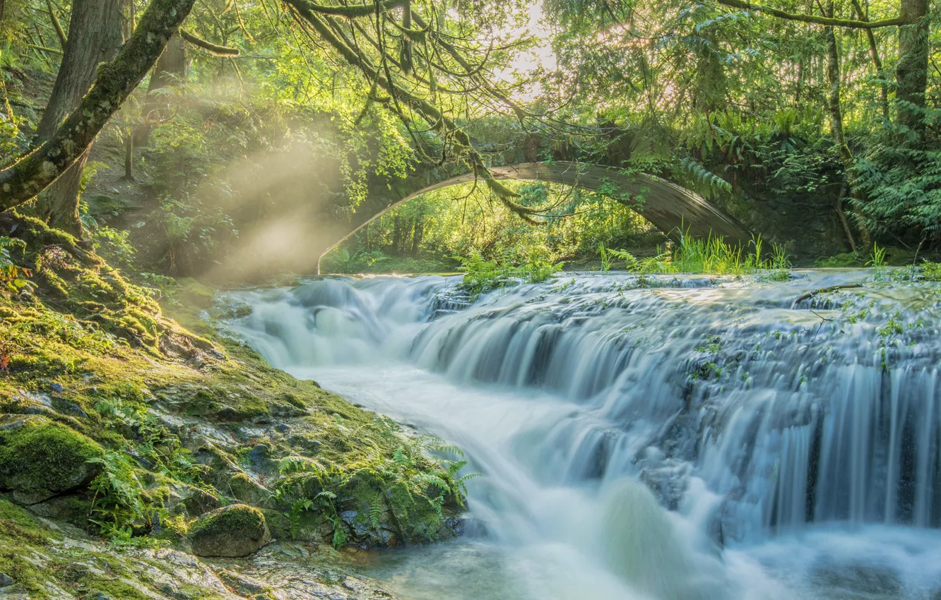 Photo wallpaper forest, bridge, river, waterfall, Canada, Canada, British Columbia, cascade