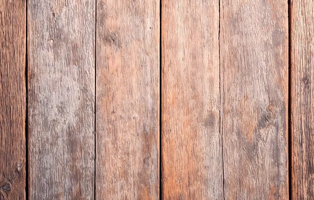 Photo wallpaper color, wood, texture