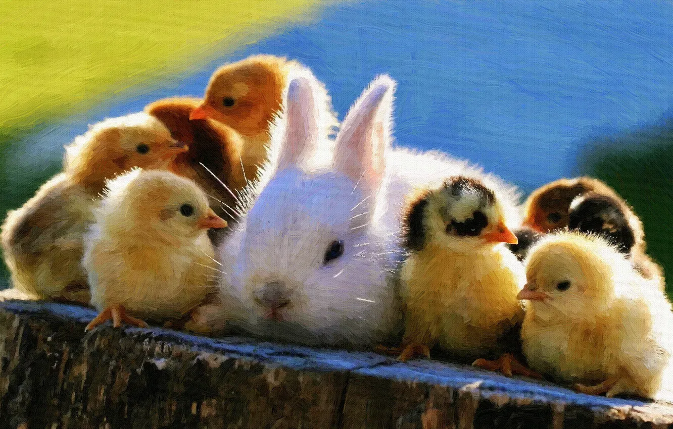 Photo wallpaper animals, chickens, rabbit