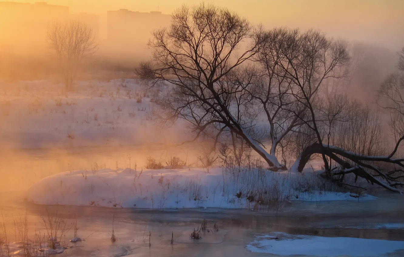 Photo wallpaper fog, river, sunrise, morning, Istra, Alexander Medvedev