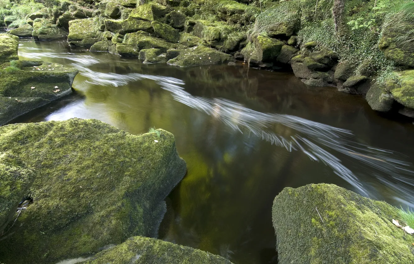 Photo wallpaper nature, river, stones, moss