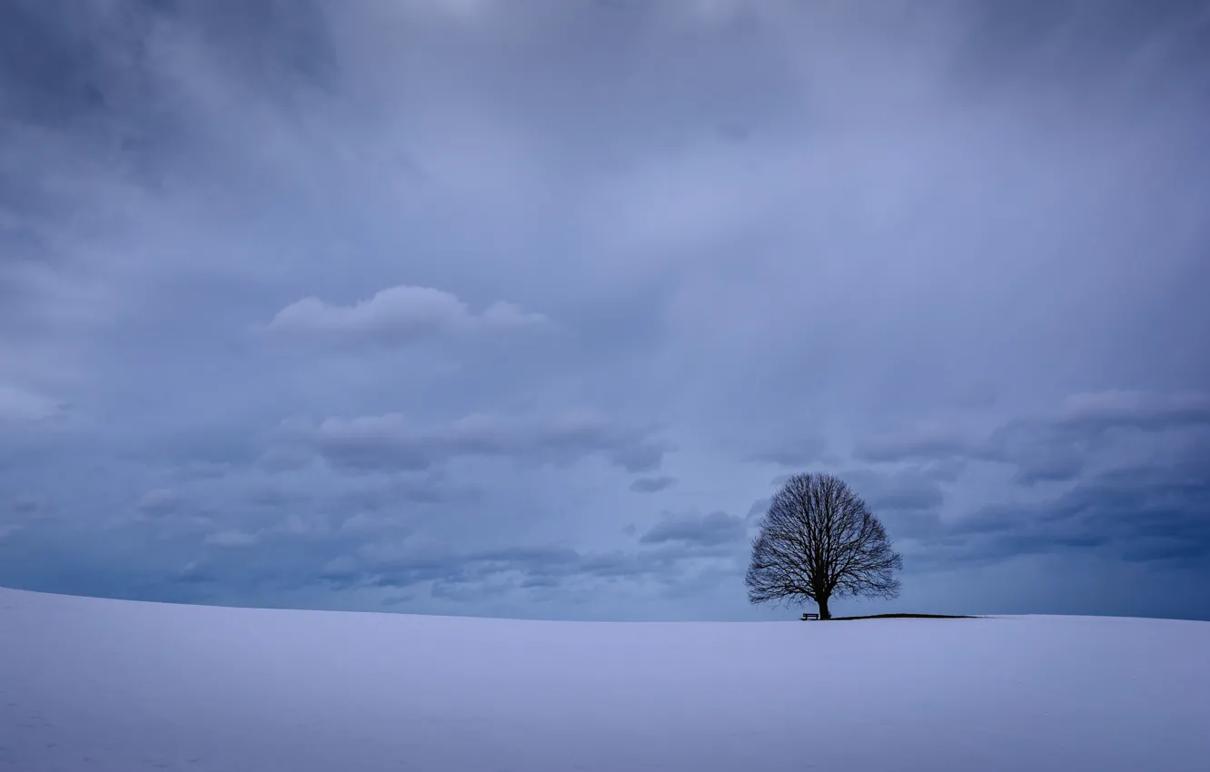 Photo wallpaper winter, the sky, clouds, snow, tree, Germany, Bayern