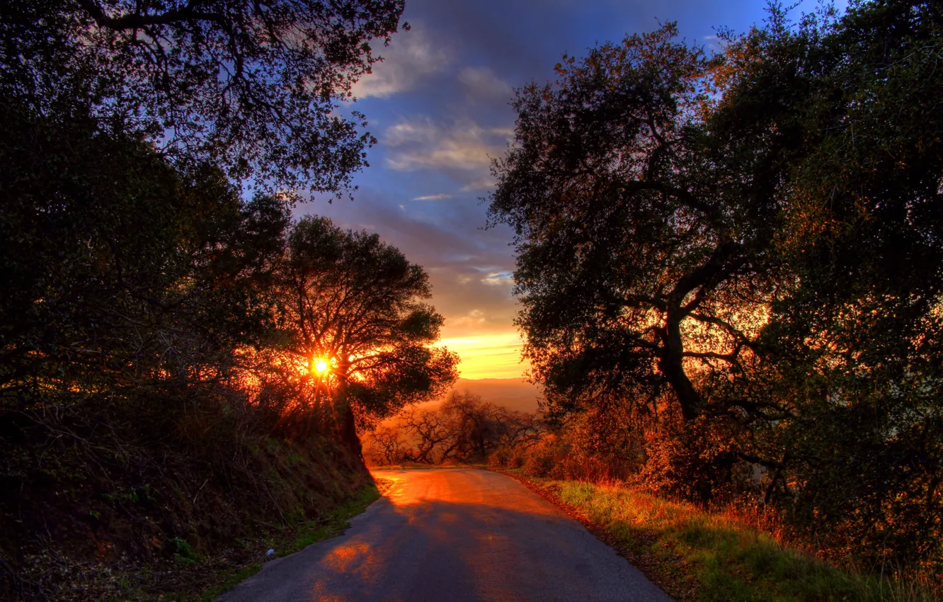 Photo wallpaper road, the sun, trees, sunset, mountains, shadow