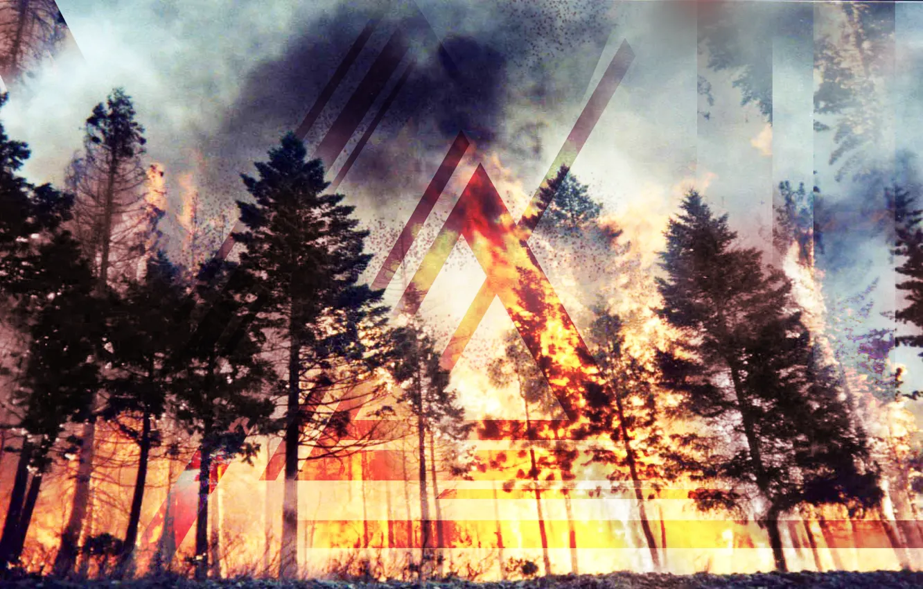 Photo wallpaper forest, line, fire, fire, fire, forest, triangle, lines