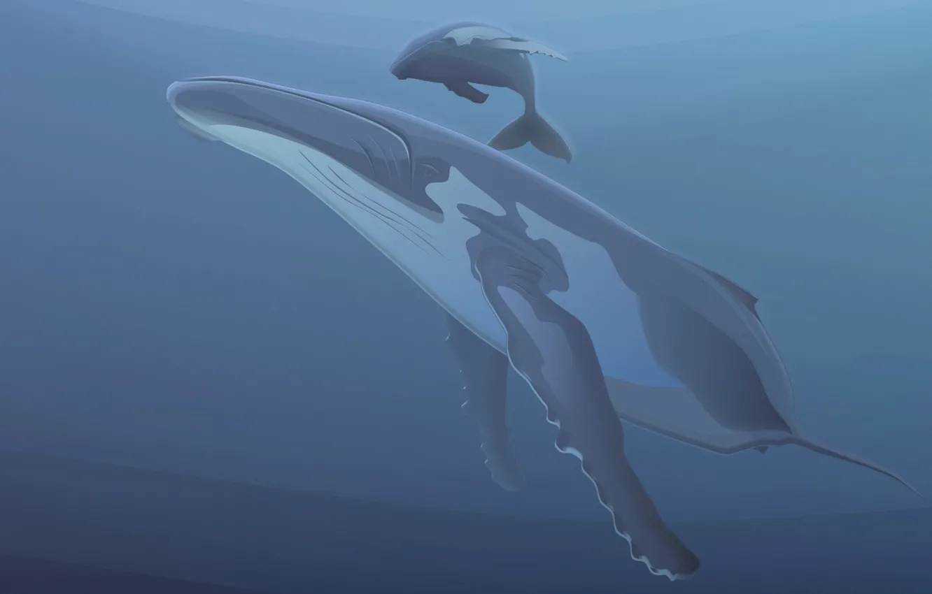 Photo wallpaper blue, vector, kit