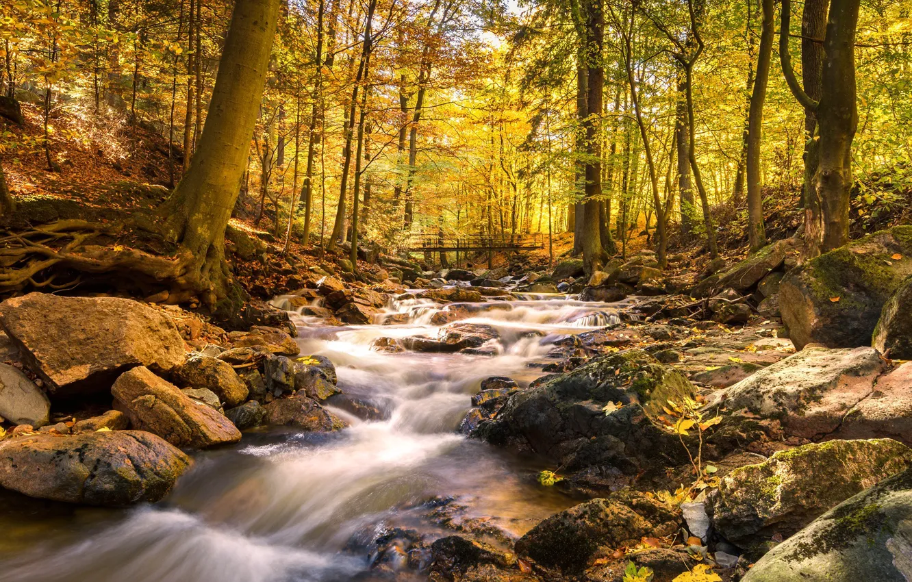 Photo wallpaper autumn, landscape, nature, river, stream