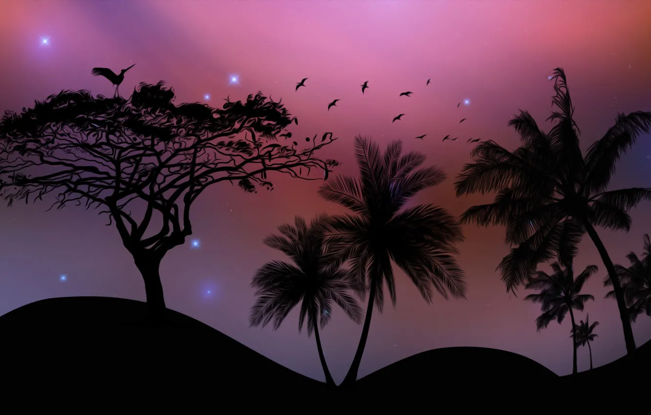 Photo wallpaper birds, palm trees, desert