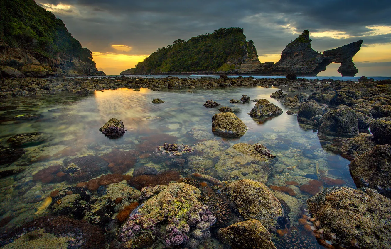 Photo wallpaper sea, rocks, tide
