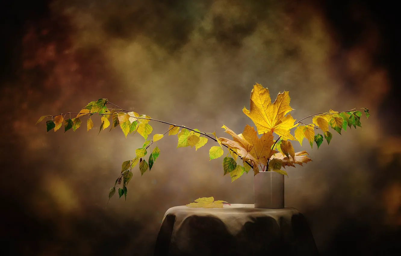 Photo wallpaper autumn, leaves, branches, vase, maple, birch, table, still life