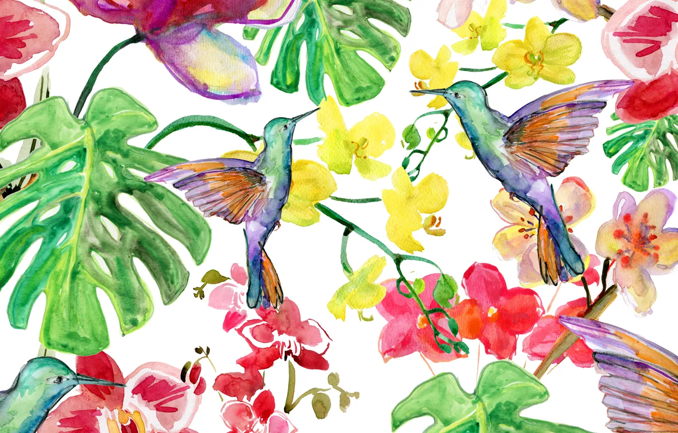 Photo wallpaper texture, background, flowers, leaves, kalibri, bird