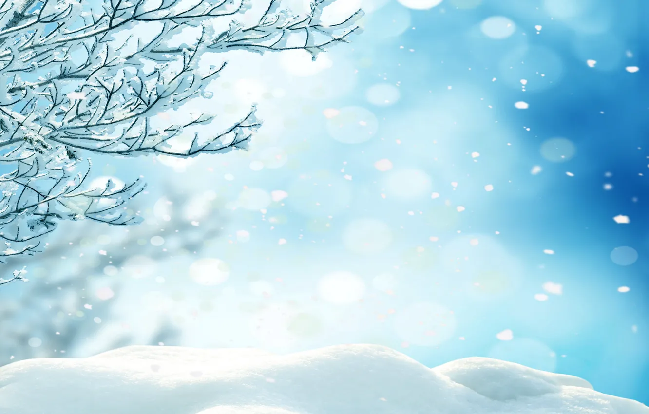 Photo wallpaper winter, forest, snow, trees, snowflakes, nature, winter, snow