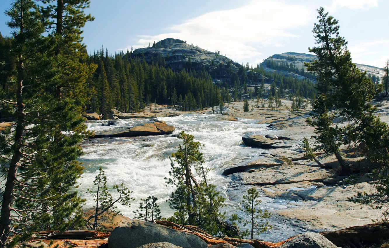 Photo wallpaper forest, the sky, clouds, trees, mountains, river, stones, rocks