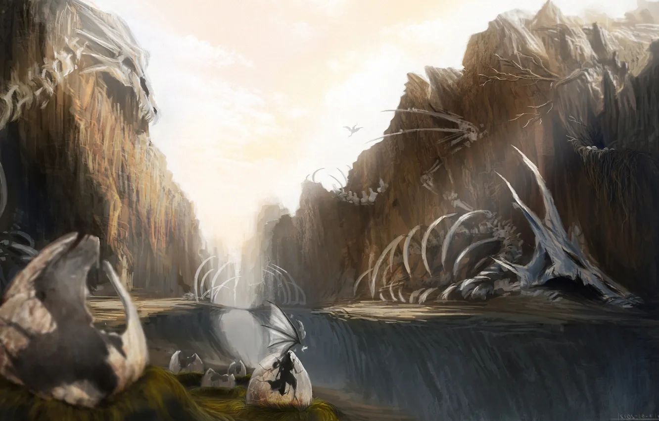 Photo wallpaper dragon, eggs, art, skeleton, gorge