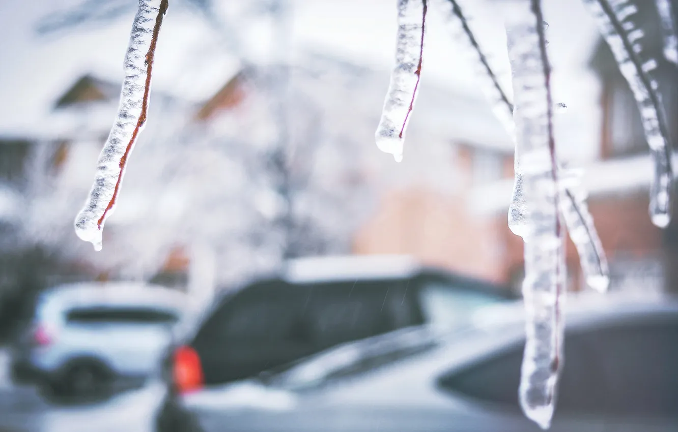 Photo wallpaper ice, winter, branches, street
