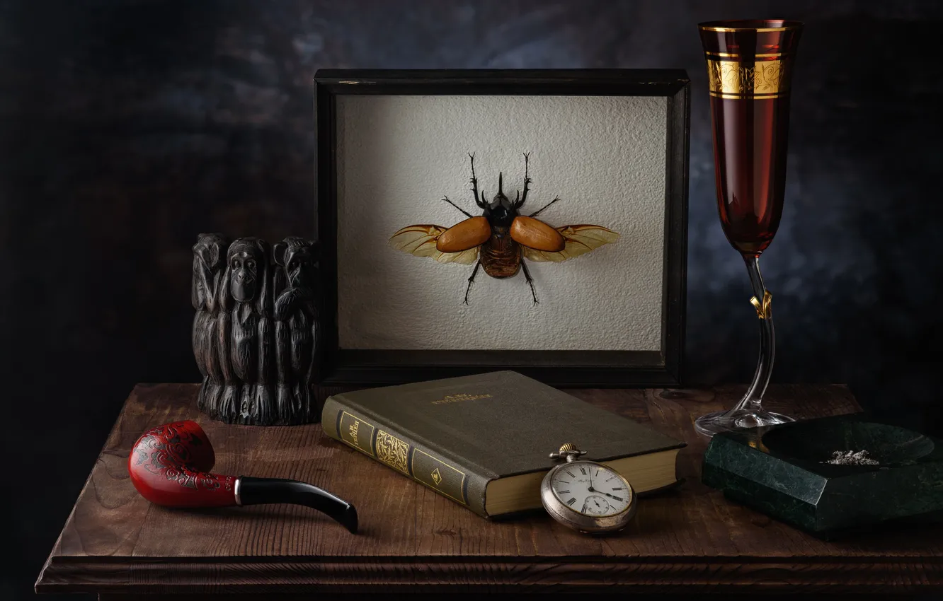 Photo wallpaper Beetle, painting, books, Collection, technique, stuffed