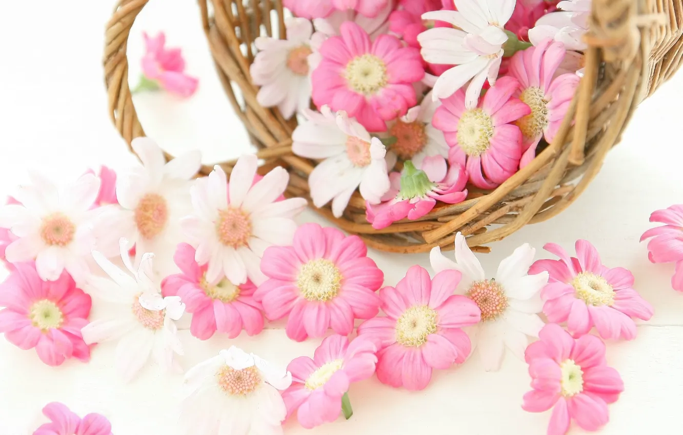 Photo wallpaper flowers, basket, chrysanthemum