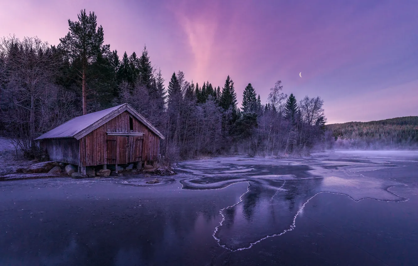 Photo wallpaper ice, winter, forest, the sky, the moon, shore, the evening, house