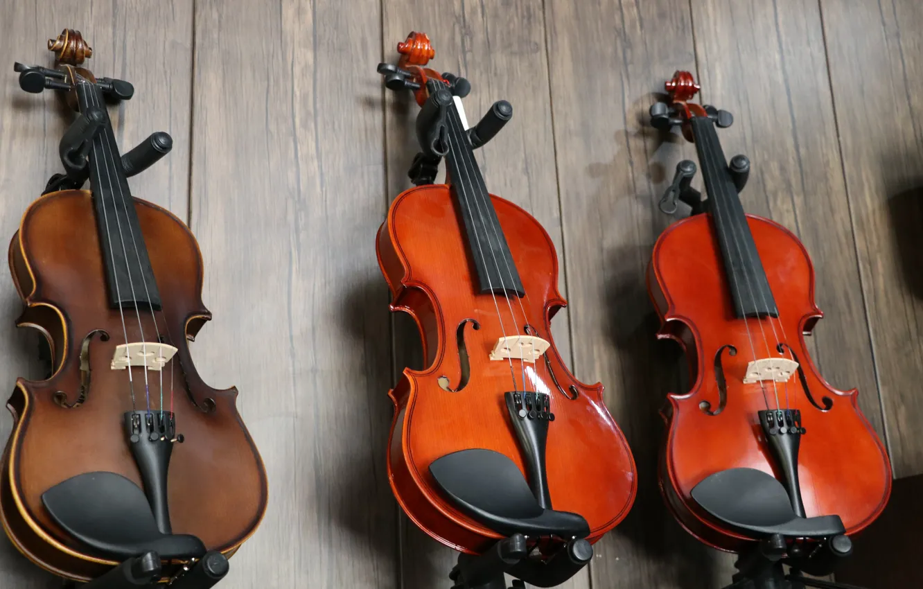 Photo wallpaper Music, violin, instrument, Mohammadreza