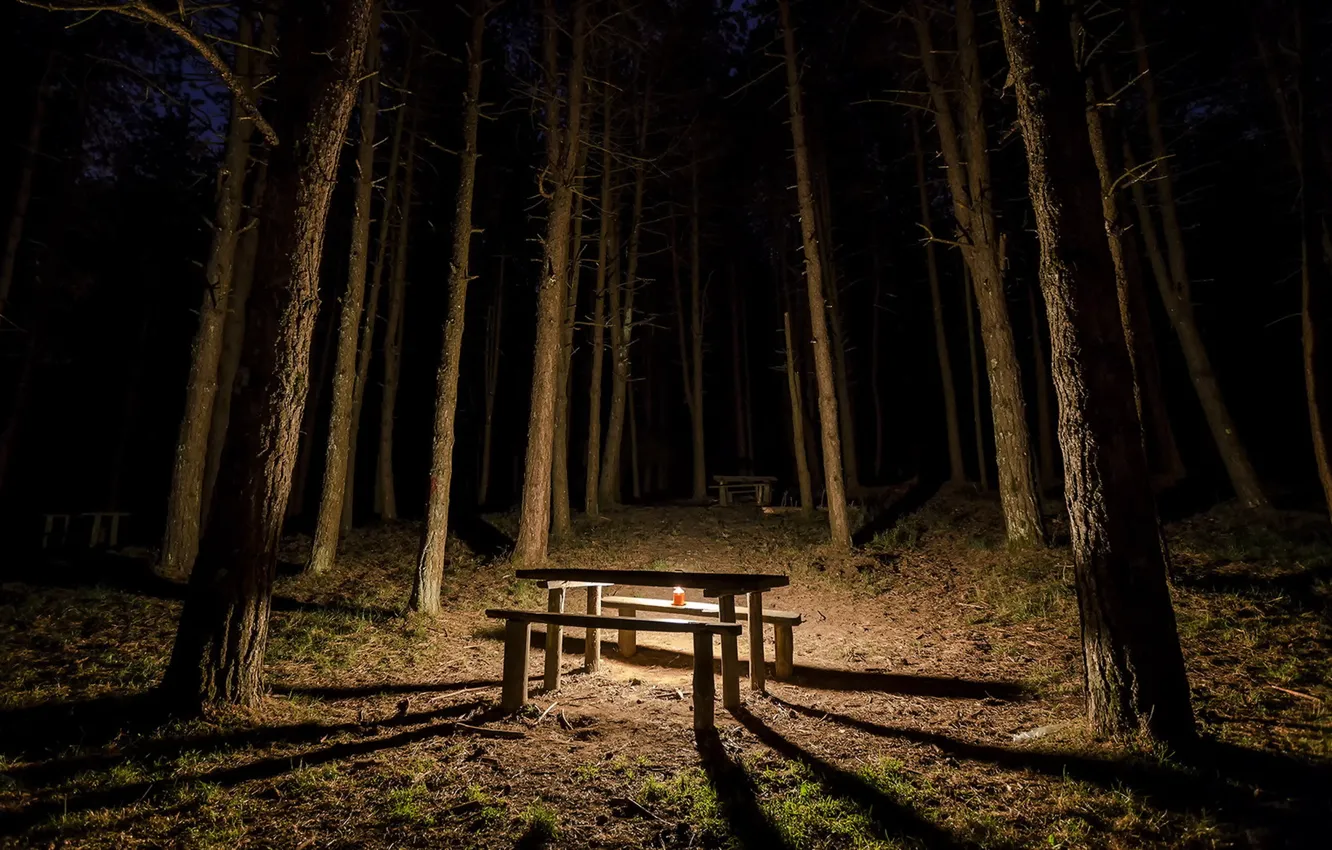 Photo wallpaper forest, night, table, candles, bench