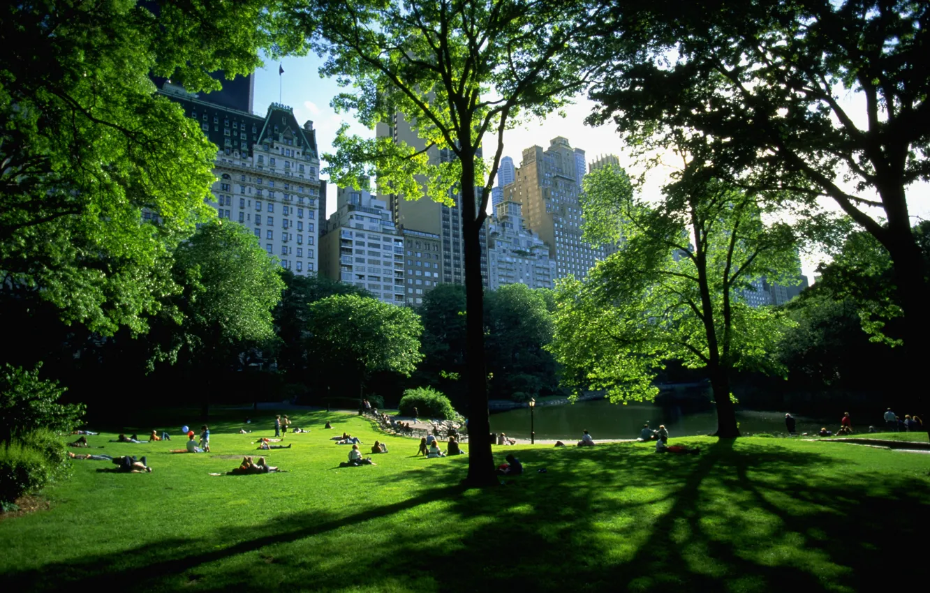 Photo wallpaper Park, stay, New York