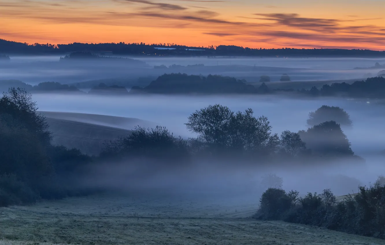 Photo wallpaper field, trees, night, fog, morning, haze, twilight, early