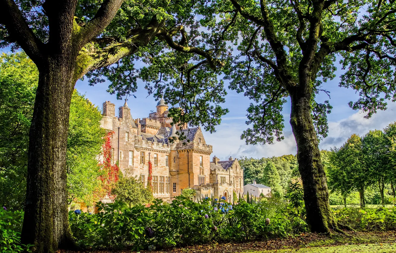 Photo wallpaper greens, the sun, trees, flowers, branches, castle, garden, Scotland
