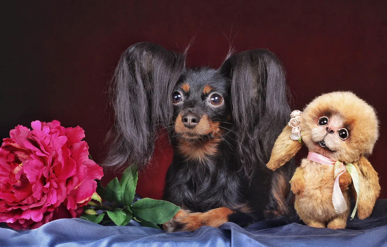 Photo wallpaper look, flowers, pose, toy, dog, rabbit, fabric, lies