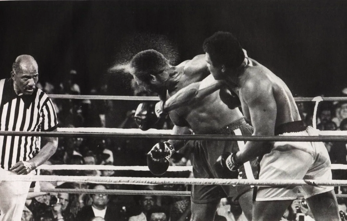 Photo wallpaper Sport, Boxing, blow, Muhammad Ali, the fight