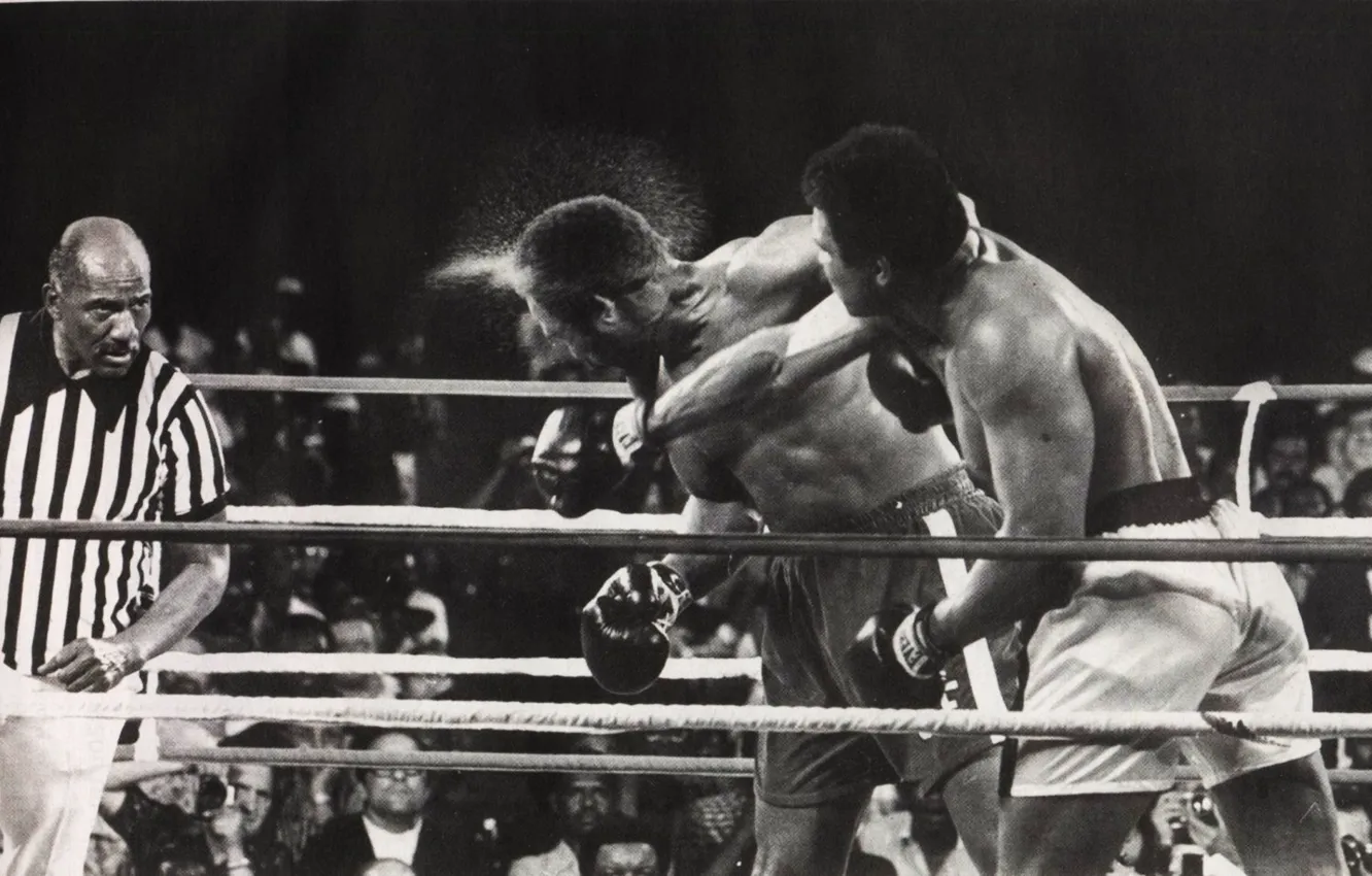 Photo wallpaper sport, Boxing, blow, Muhammad Ali, the fight