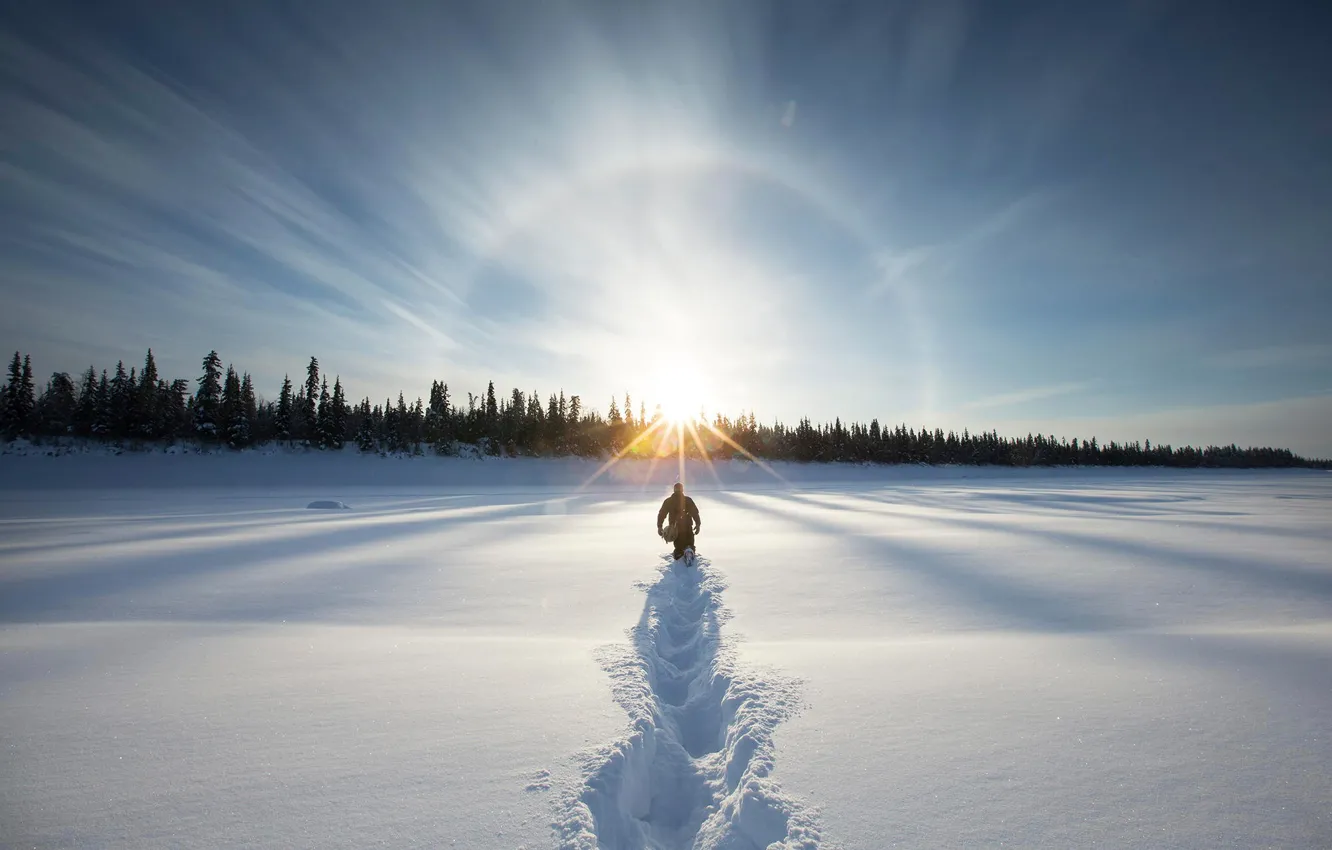 Photo wallpaper winter, forest, the snow, way to the sun