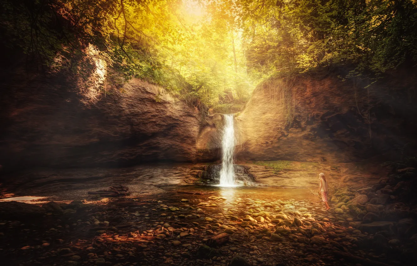 Photo wallpaper forest, river, waterfall