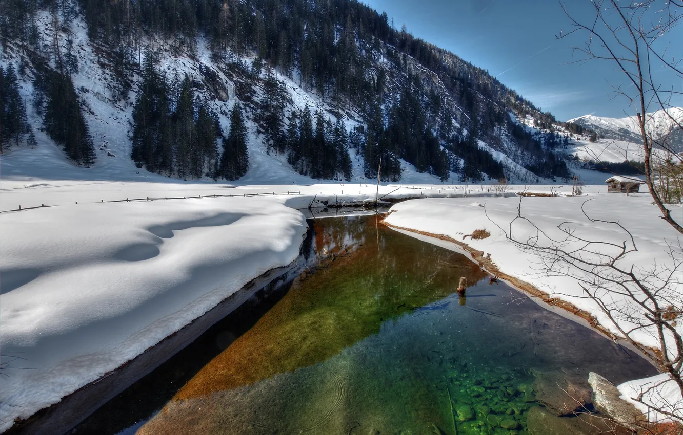 Photo wallpaper winter, forest, snow, trees, river, hills, home, spruce